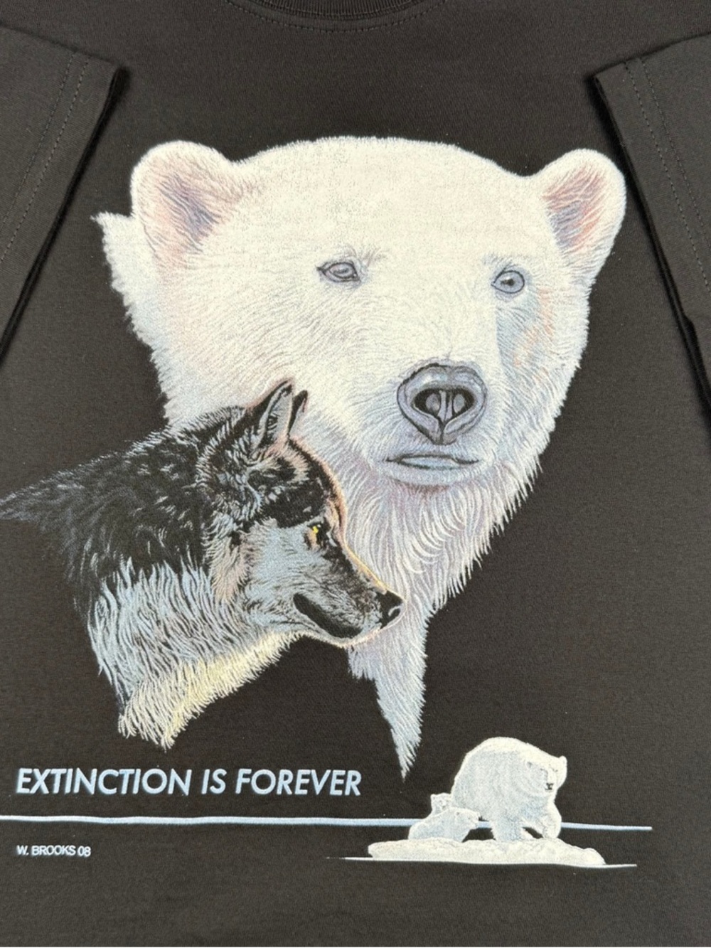 Men’s Extinction Is Forever Black Graphic Nature Tee Size Medium